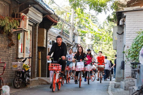 城市街头众多骑行者画面