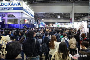 漫展现场秩序维护人员