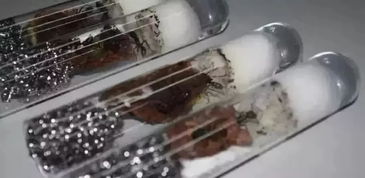 警惕！境外间谍竟用寄递方式窃取我国珍贵稀土