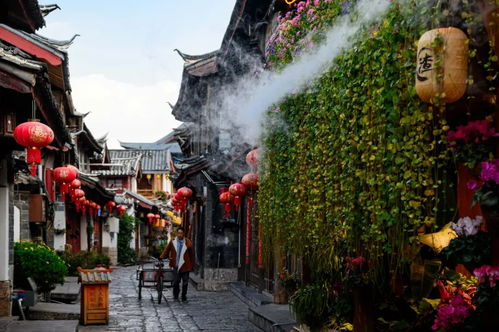 游客进入丽江古城要交钱了？背后真相大揭秘！