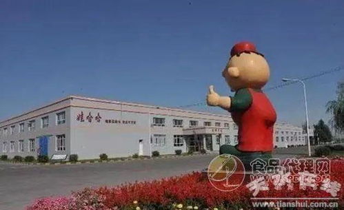 杭州就娃哈哈事件成立专班，背后真相令人深思！