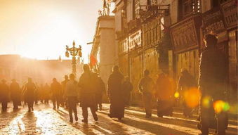 来西藏？那可是有超多理由的呢！