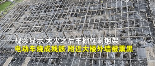 多车被烧后的惨状