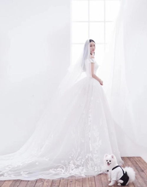 张馨予的婚纱照