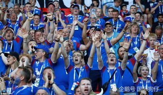 球迷们兴奋地欢呼助威