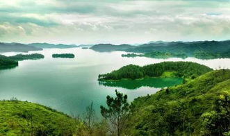 59.9元一罐的空气被抢空？背后故事大揭秘！