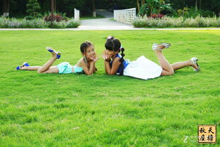 谢娜一家人的甜蜜生活：工作与家人之间的平衡之道