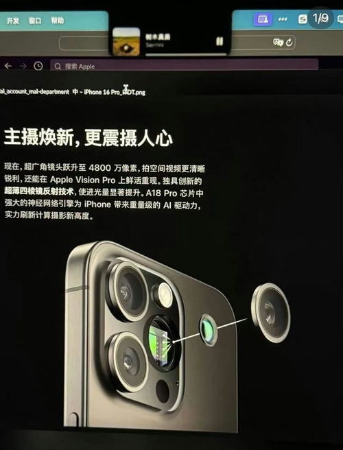 苹果iPhone 17系列四款机型颜色大揭秘！