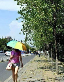 冷空气要来啦！高温即将被按暂停键，看看各地都做了啥准备？