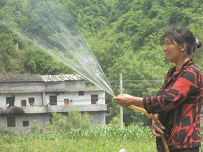 农民浇水