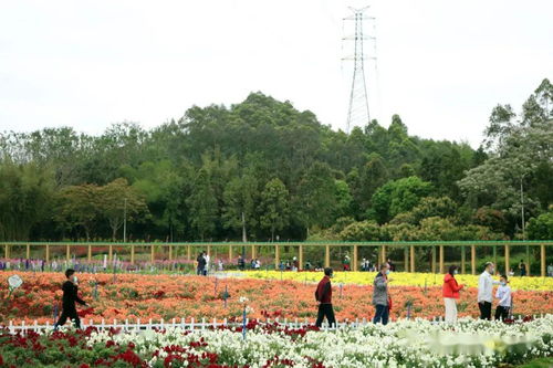 微观察 | 腾讯热榜话题：有些事需攻坚，有些事要久久为功