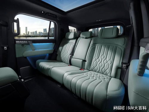 猛士M817豪华内饰