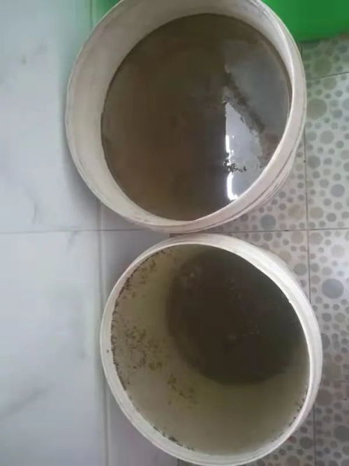 杭州自来水异味事件真相大揭秘！