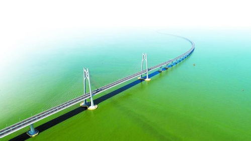 台风来袭！港珠澳大桥主桥临时封闭背后的惊险故事