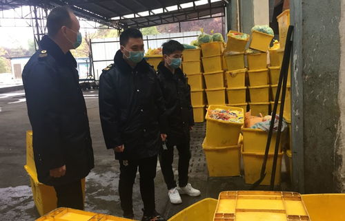 处理医疗废料人员