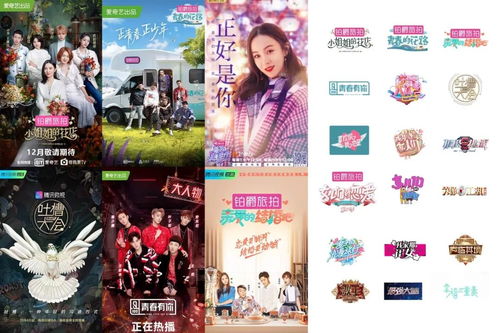 铂爵旅拍‘失联’事件：消费者维权难，背后真相令人咋舌！