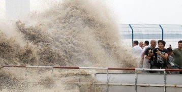 杭州紧急警告：钱塘江抢潮头鱼太危险啦！