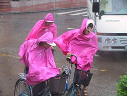 我在珠海海滨泳场亲历惊魂一刻：150斤被狂风席卷