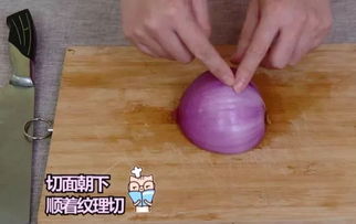 洋葱横截面