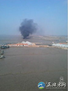 特朗普惊人言论：印巴冲突竟有五架战机被击落？