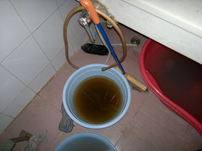 余杭居民：水虽无臭却仍严重变色，背后真相引担忧！