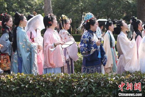 太魔幻了！苏超中场再现‘梁山108将’，武松众目睽睽下打虎