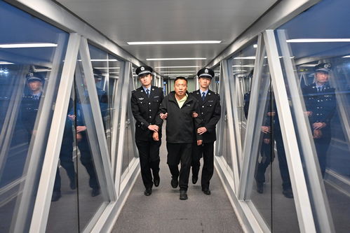 郭柏春被刑拘现场图