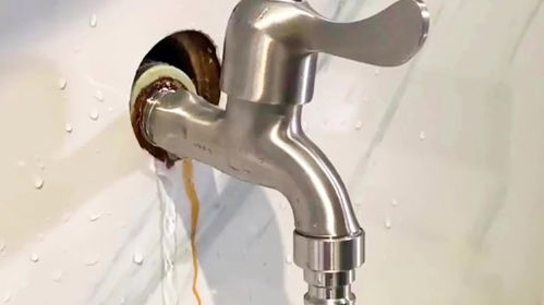 杭州自来水异味之谜大揭秘！