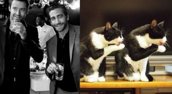 模仿罗小黑动作