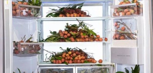 冰箱里的新鲜荔枝