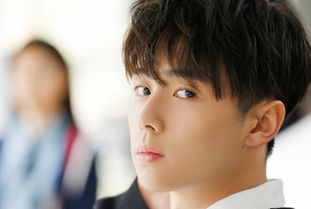 中央纪委‘内鬼’杨青录被查，背后故事引关注！