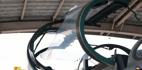 惊魂一刻！西班牙‘台风’战机表演时惨遭鸟击，座舱盖碎成渣