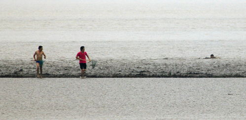 人们在岸边围观抢潮头鱼场景