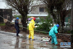 台风“韦帕”强势登陆广东，多地遭受狂风暴雨袭击