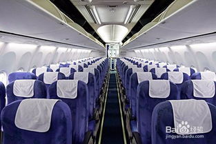 人们在飞机经济舱久坐