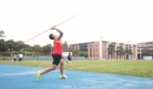 中国女篮输日本女篮，背后原因竟这么多！