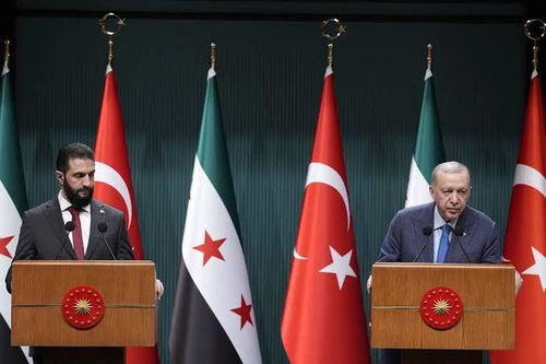 叙政权领导人讲话画面