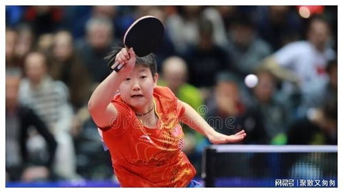 李隼谈孙颖莎：罚跑万米背后的真相！