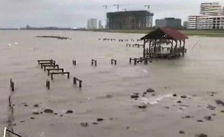 台风韦帕！华南沿海面临巨大威胁，多地将迎狂风暴雨