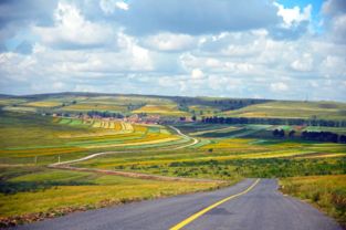 我的高温出逃计划大揭秘