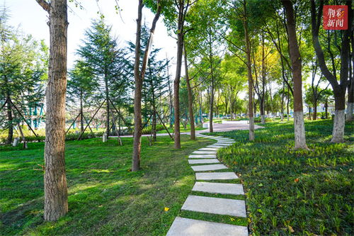 深入解读：民有所呼 我有所应背后的深意