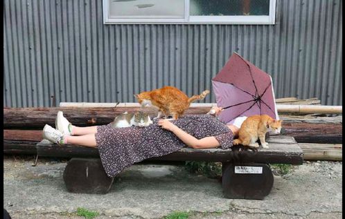 惊险！2岁男童6楼坠落，雨棚救他一命