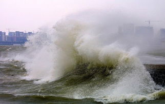 台风韦帕来了！实时路径大揭秘