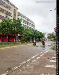 台风过后街道一片凌乱