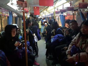 美国卖酱香饼的中国小伙小唐被逮捕，背后真相令人唏嘘！