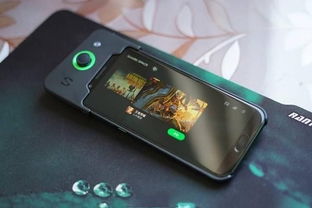 苹果iPhone 17系列4款机型颜色阵容大揭秘！多彩选择超吸睛