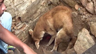 以伊冲突下伊朗儿童的悲歌：20多名孩子睡梦中被炸死