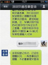 微信搜索界面截图