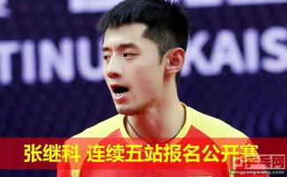 张继科和樊振东比赛中的精彩瞬间