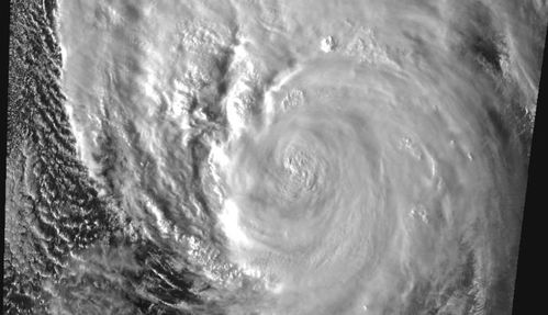 台风韦帕即将正面袭击广东！民众该如何应对？